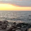mdjjj514
