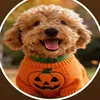 maxthesassypoodle253
