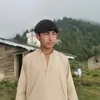 kashifhussain5449