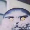 folkdotuffedits