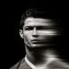 wll.estevao