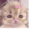 nafisah_here