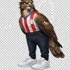 Gavilan🦅