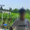 taraszar1pov