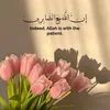 om_om55n