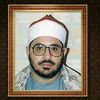 sayed8606