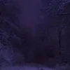 theyluxe_ang3l