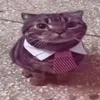 ramonzin.js1
