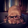 yam_yam359