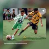 pyetrinho343