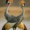 abdoul.azis14