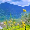 nature.beauty5678