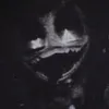 cynessa6666
