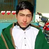 gulrauf804