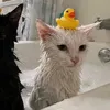 luxieatsyou1