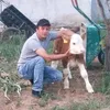 hesabimvar64