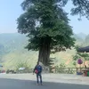 luuhuynhduc113