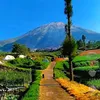 menunggu...