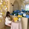 ditmetiktok478
