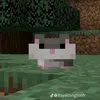 wemmboo_