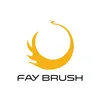 faycosmeticbrush