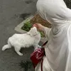 sohaila.64