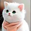 charmingfairy34
