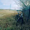 alphatourist0