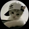 user325540681