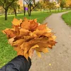 userrr_034921