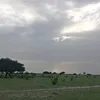 mal.hassan.hassan