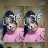 heppp01