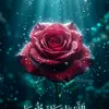 user9303530680494