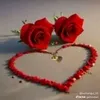 user455517106