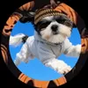 marleythatonedog_real1
