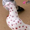 bhalu881