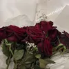 ab.yr00