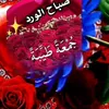 user7981630854728