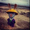 rabbid617