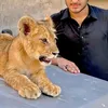 sexyboy4323
