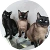 3_maneki_neko