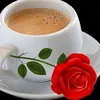 bakht7839