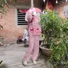 ccchamia66