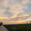 tien_dat699