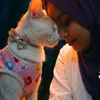 imransister1