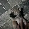 vanloiiii_11