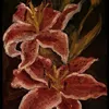 lilies_111111