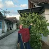 mawarmerahh305