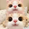 tuberkyleez