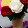 shewly.begum.begu